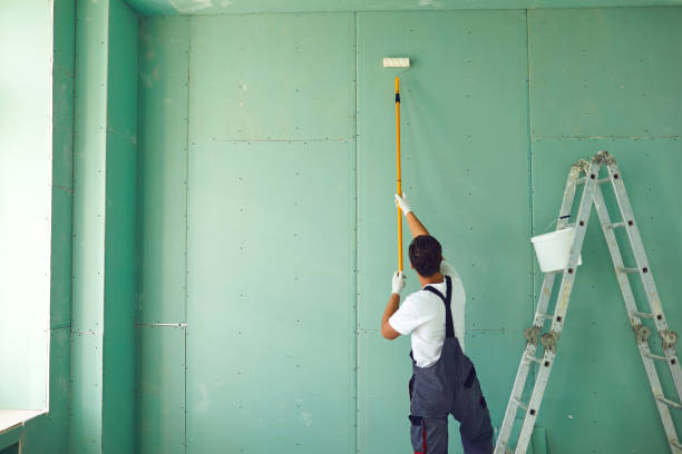 Best Basement Mold Removal  in Williston, FL