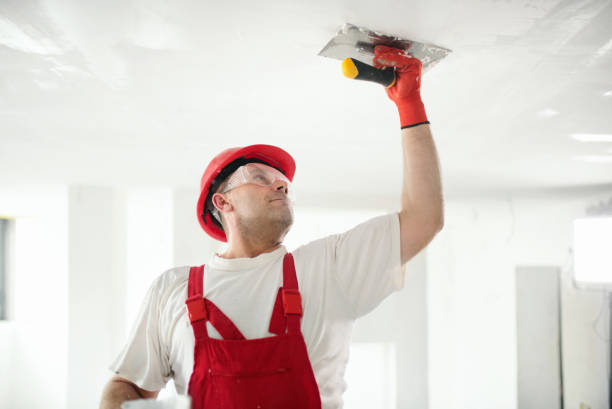 Best Air Quality Testing for Mold Spores  in Williston, FL