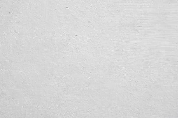 Best Mold Damage Restoration  in Williston, FL