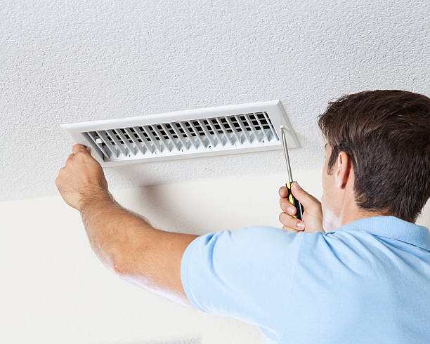 Best Residential Mold Inspection & Testing  in Williston, FL